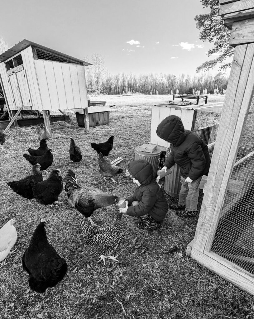 Greensboro Birth Photographer - Two young boys feeding chickens